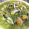 Fish Ceviche Trilogy